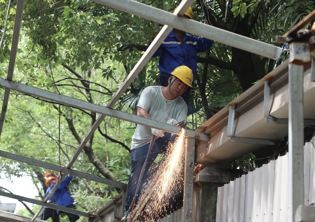 新民晚报夏令热线如约至百姓“出新题”各方解烦忧(图19)