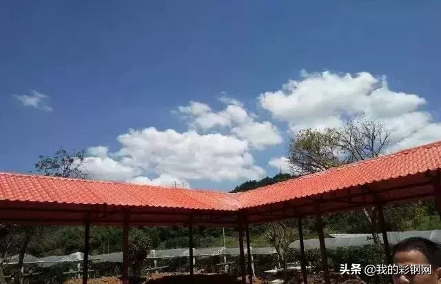 解决树脂瓦与琉璃瓦哪个好化工厂房的腐蚀问题(图1)