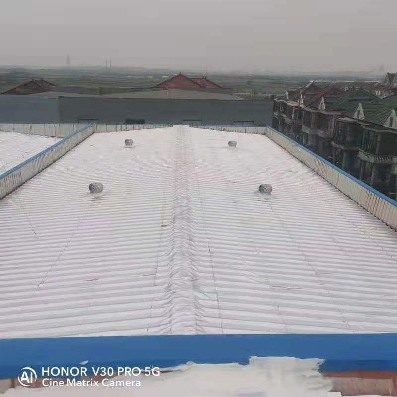 彩钢板屋面渗漏水的治理方案，两种方案均能有效治理(图2)