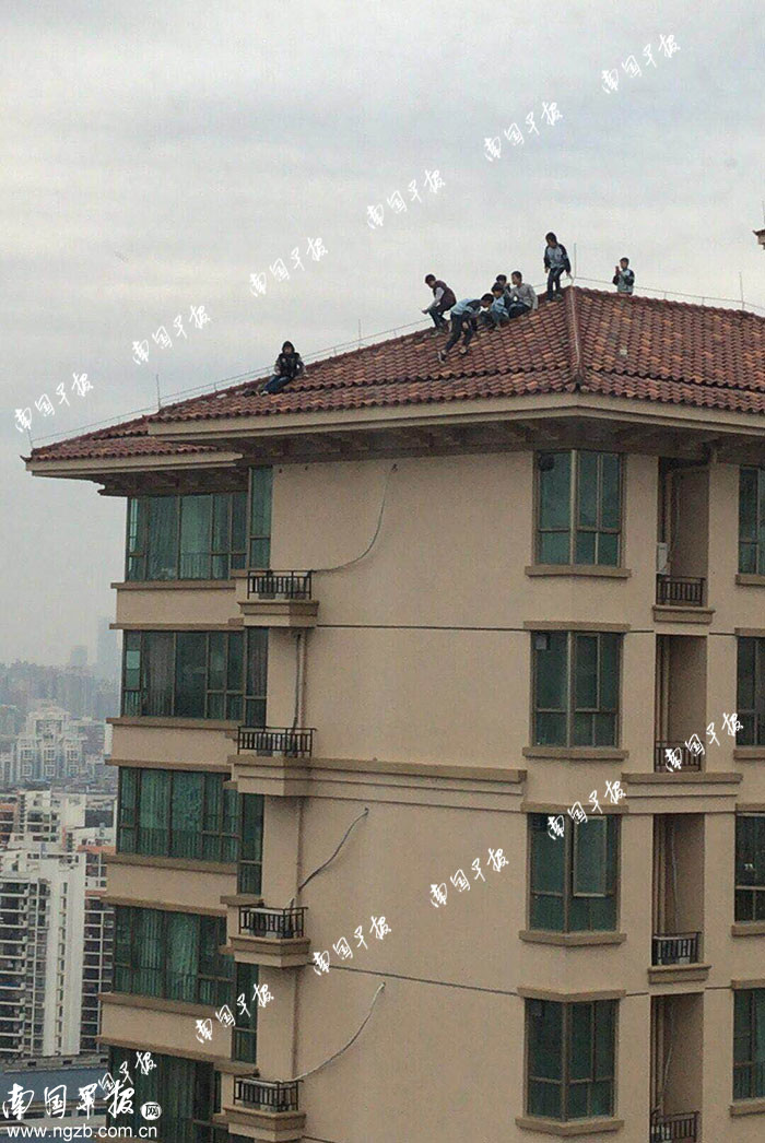 
神木县北关商住楼多栋楼楼顶有违建彩钢房(组图)
(图3)