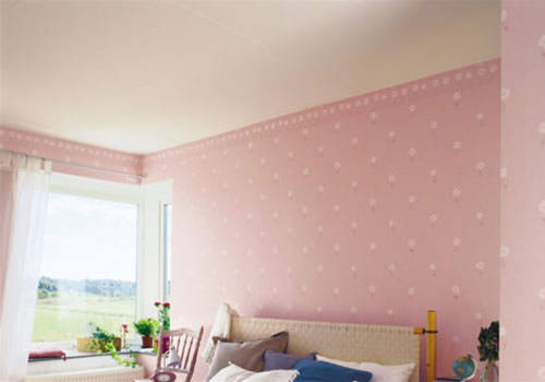 彩石王水性涂料,是一家致力于发展的现代最高科技,(图3)