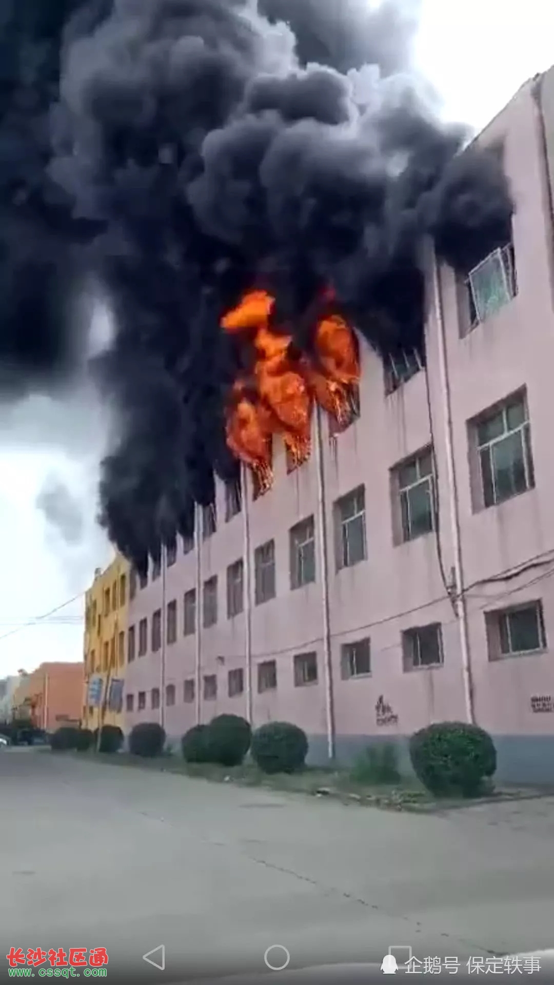 保定市乐凯北大街西家庄村附近荒草不明原因起火，吓人(图6)