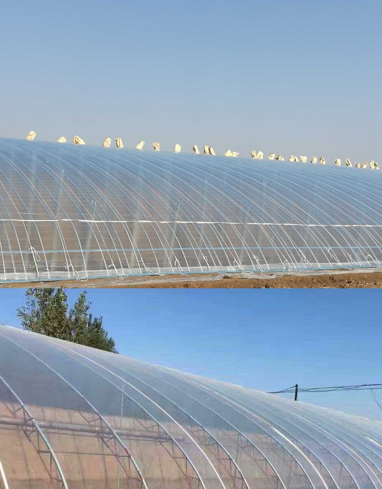 石家庄高鹏农业科技有限公司招聘温室大棚大棚保温产品生产厂家(图1)