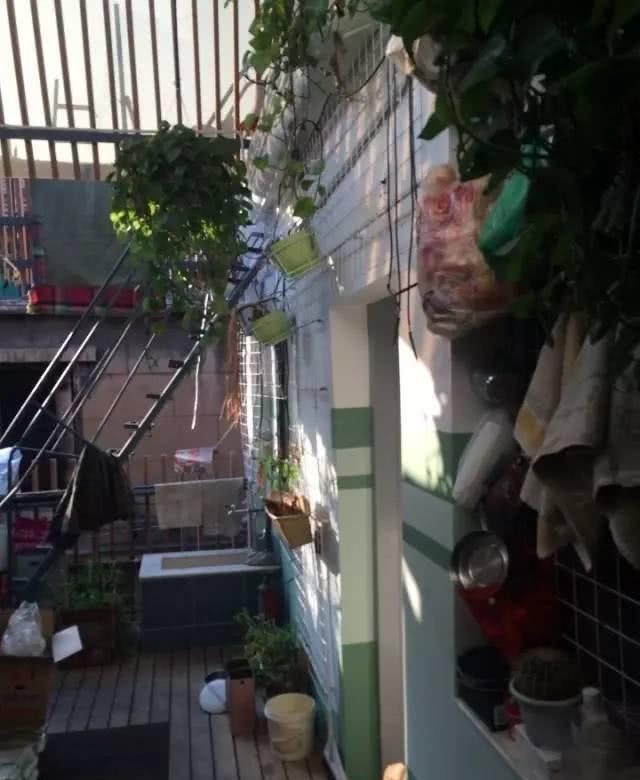 这样改造的房子，比之前好太多还惊艳众人。。(图15)