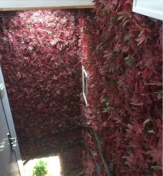 这样改造的房子，比之前好太多还惊艳众人。。(图19)