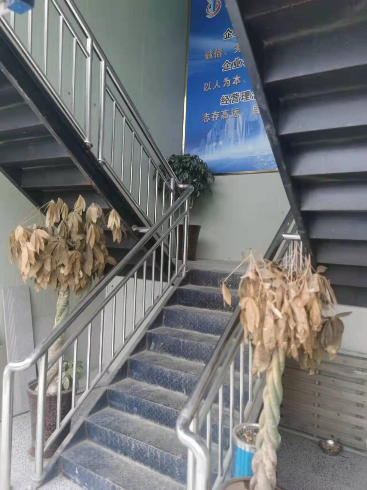 徐州市彩钢板活动房回收报价-安昌钢结构工程彩钢活动房工程(图3)