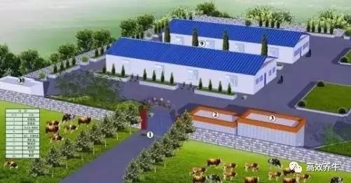 肉牛养殖场平面设计图的用途设计及平面情况(图1)