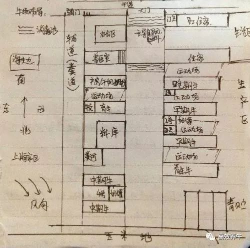 肉牛养殖场平面设计图的用途设计及平面情况(图2)