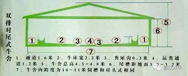 肉牛养殖场平面设计图的用途设计及平面情况(图9)