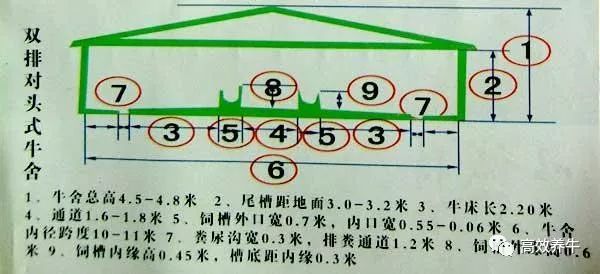 肉牛养殖场平面设计图的用途设计及平面情况(图10)