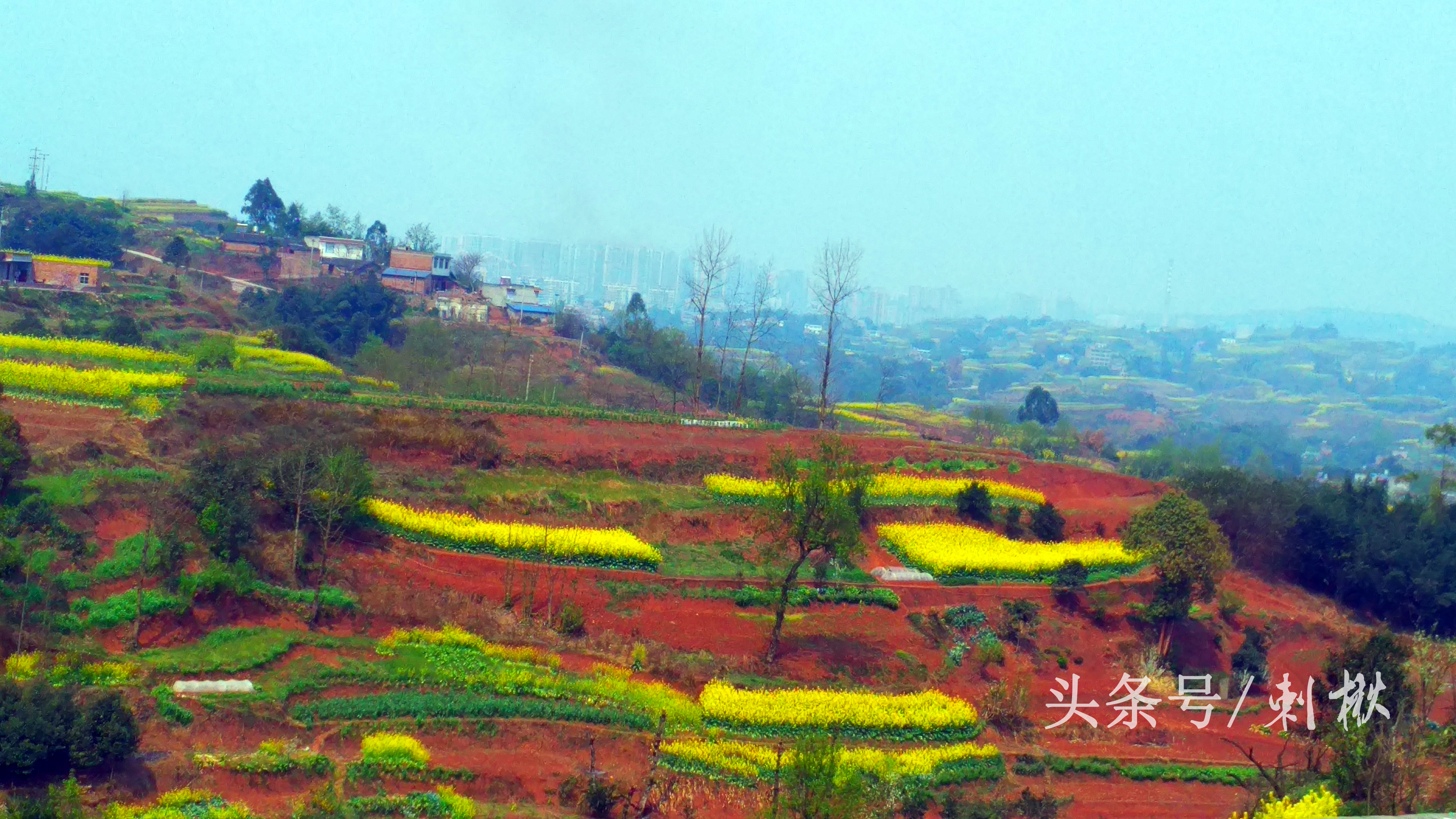 农村流行在屋顶搭建彩钢瓦，那彩钢棚有哪些好处？(图1)