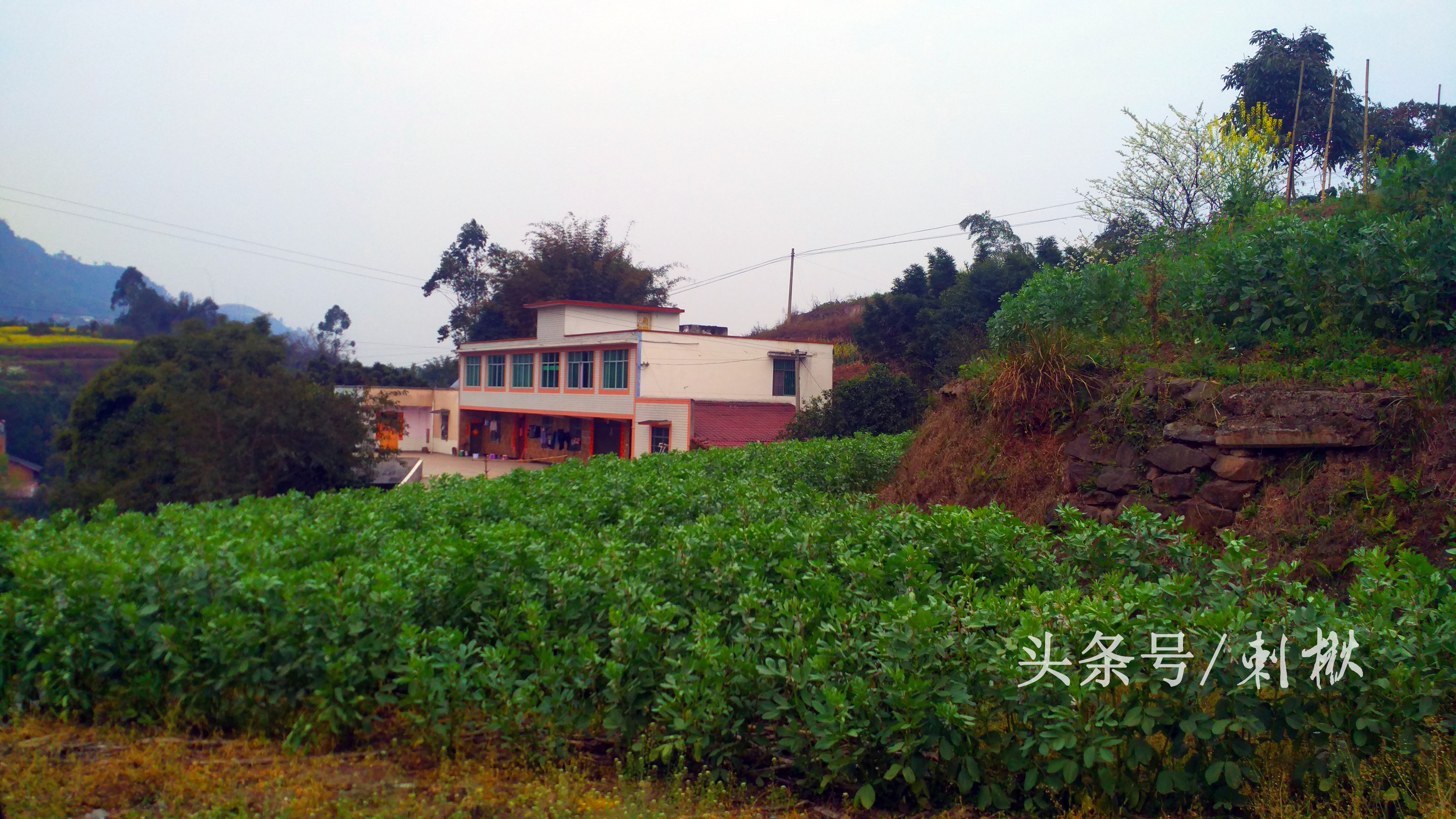 农村流行在屋顶搭建彩钢瓦，那彩钢棚有哪些好处？(图2)