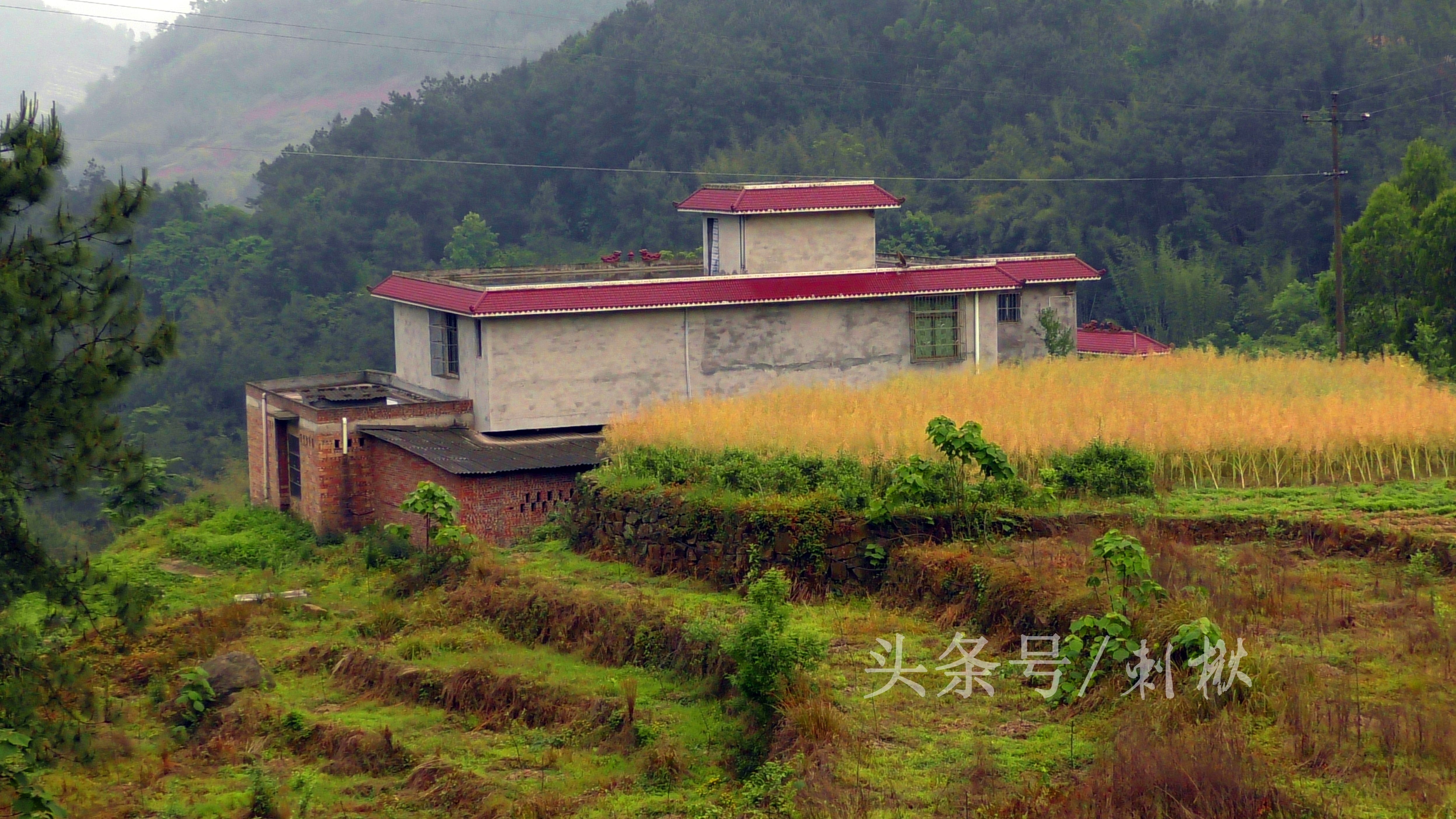 农村流行在屋顶搭建彩钢瓦，那彩钢棚有哪些好处？(图6)