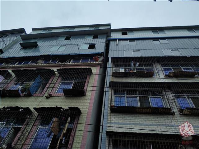 以背街小巷为突破口带动全市环境面貌改观
(图4)