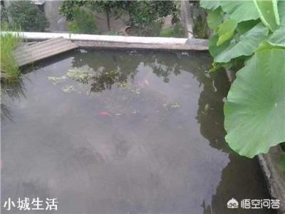 畅谈关于装修的那些事！这些年在农村可以说是越来越流行(图21)