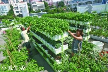 畅谈关于装修的那些事！这些年在农村可以说是越来越流行(图7)