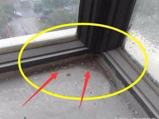 彩钢房防水 近小区的物业总是接到业主的不满反馈(图)(图1)