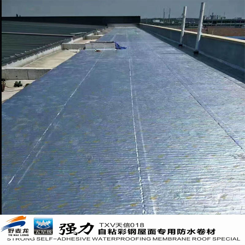 一款专用于钢屋面防水的自粘卷材详细说明100度管用












(图8)