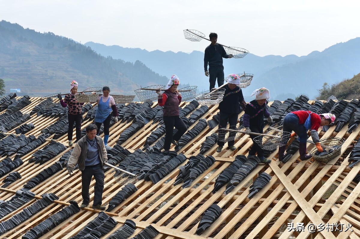 农村建房用彩钢瓦可以省去很多烦恼吗？的使用寿命问题(图4)