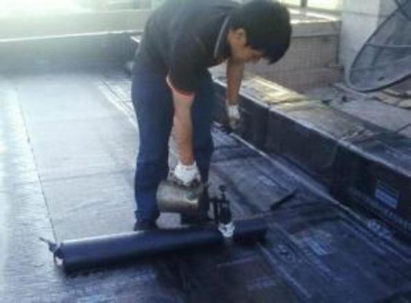 专业防水补漏：卫生间漏水、屋顶漏水，免费上门、免砸砖(图1)