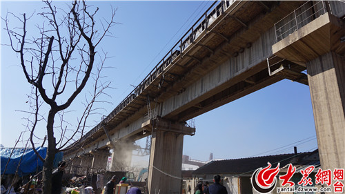 京津城际铁路桥下一非法市场被拆除多次下发责令停止建设(图2)