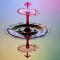 彩钢房60平方多少钱您也可在此享受垂钓活力(图)(图1)