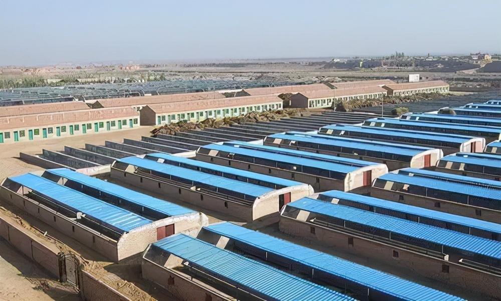 彩钢房协议 史西宁律师事务所主任、西北政法大学物权与土地制度研究所联席所长史(图1)