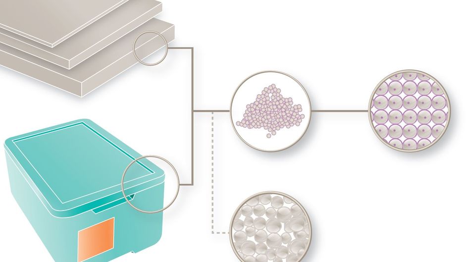 农村彩钢房 思越木结构|为什么有人说它有极大为原材料？(图15)