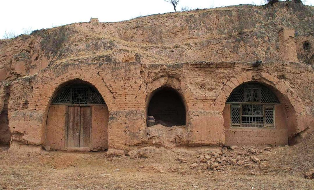 农村彩钢房 思越木结构|为什么有人说它有极大为原材料？(图4)