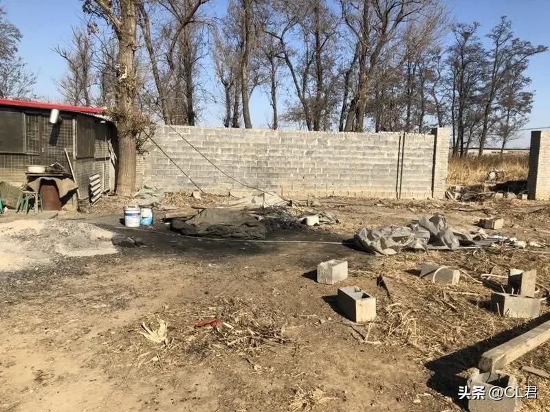 农村老房子要被拆？房屋整治加大，4类房子面临拆除(图5)