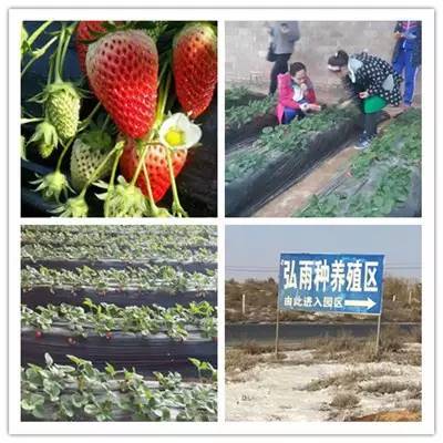 4月15日便民信息地址鄂前旗希望电脑城推出特大让利活动(图2)