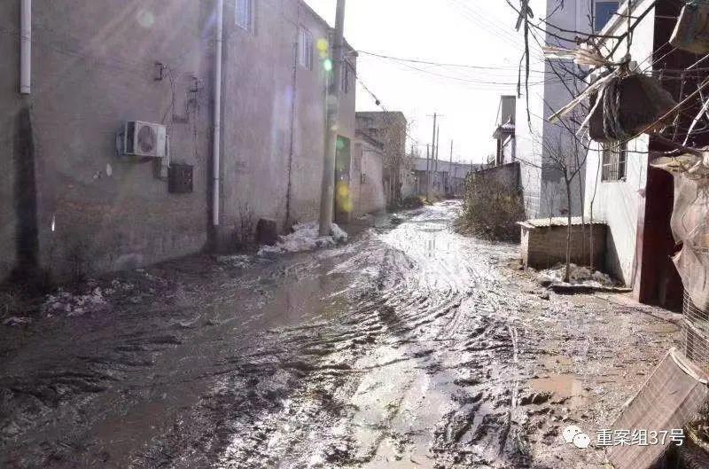 藏双喜时不时就会去“小李庄新村”门口转转(图11)