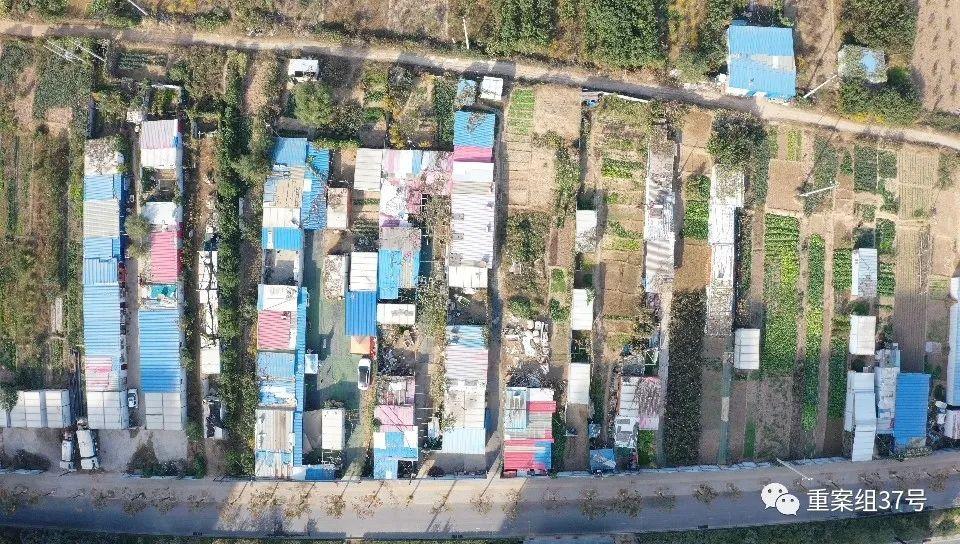 藏双喜时不时就会去“小李庄新村”门口转转(图6)