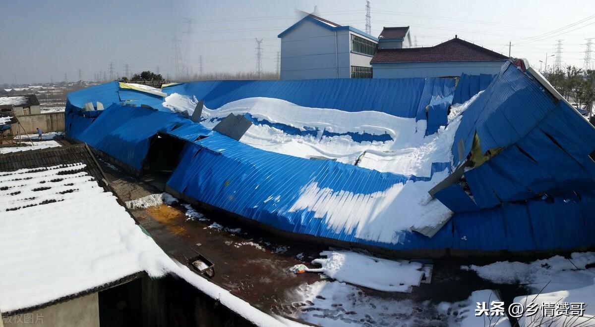 彩钢瓦被广泛应用，农村人不后悔，为啥这样说呢？(图8)