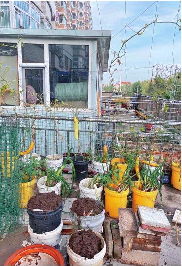 楼上种地楼下商服受牵连业主私建彩钢板(图1)