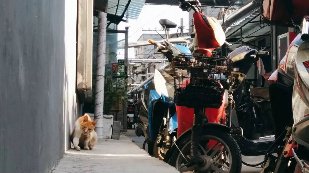 房山区彩钢房制作 一晃眼行动疏解了多少人口，背后有一系列问题首先需要回答(图1)