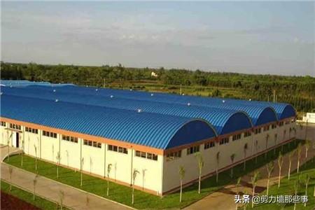 瓦的种类也有很多种，彩钢瓦和水泥瓦哪个更好吗？(图6)