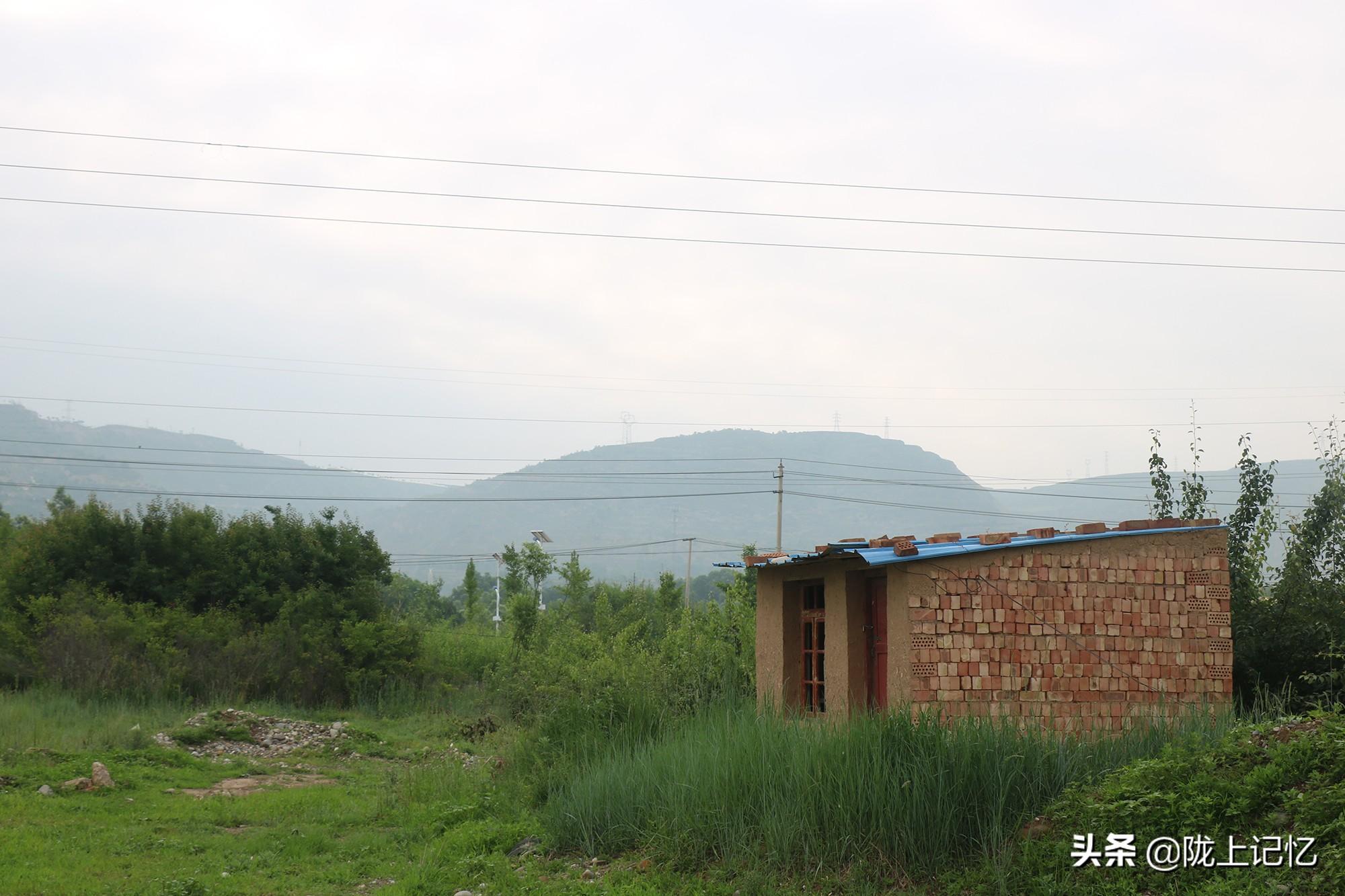 彩钢顶在农村确实是越来越多家庭自建房的重要原因(图8)