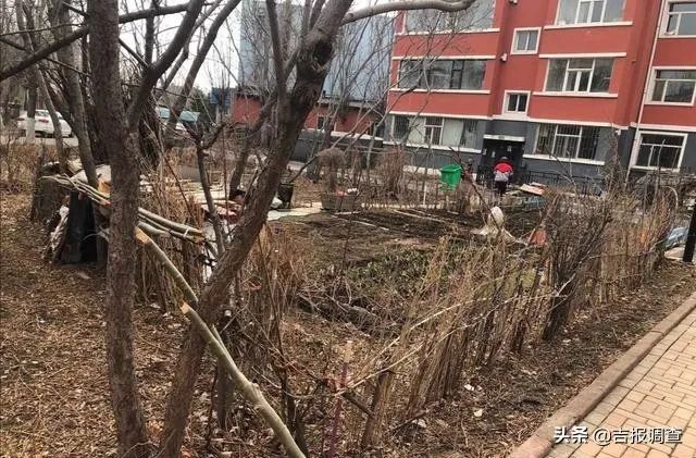 长春市净月区与银安路交会处的东师家园小区存在多种问题？(图1)