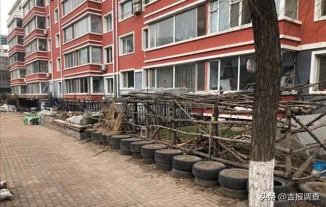 长春市净月区与银安路交会处的东师家园小区存在多种问题？(图2)