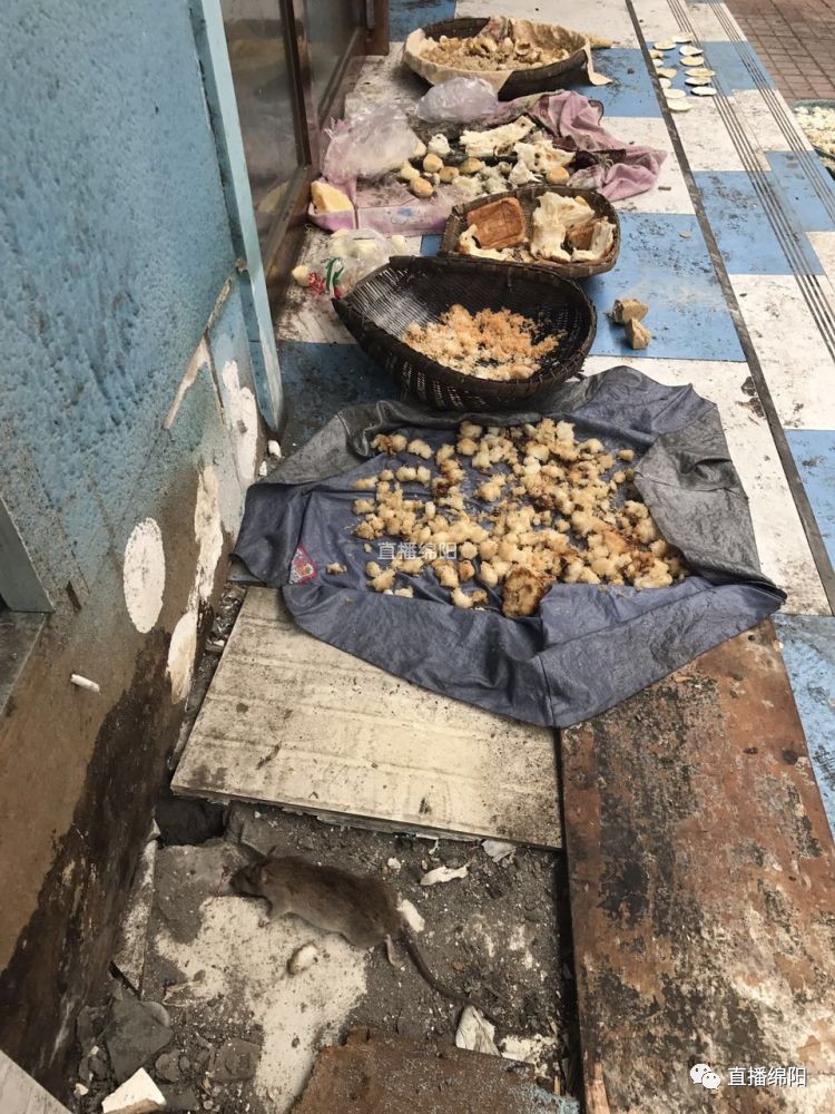 万逸海派酒店在小区西侧私自搭建彩钢房严重影响卫生环境(图2)