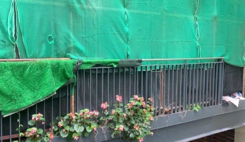 深圳“豪宅”杨先生过完年回深圳，邻居还用将楼房掩盖(图5)