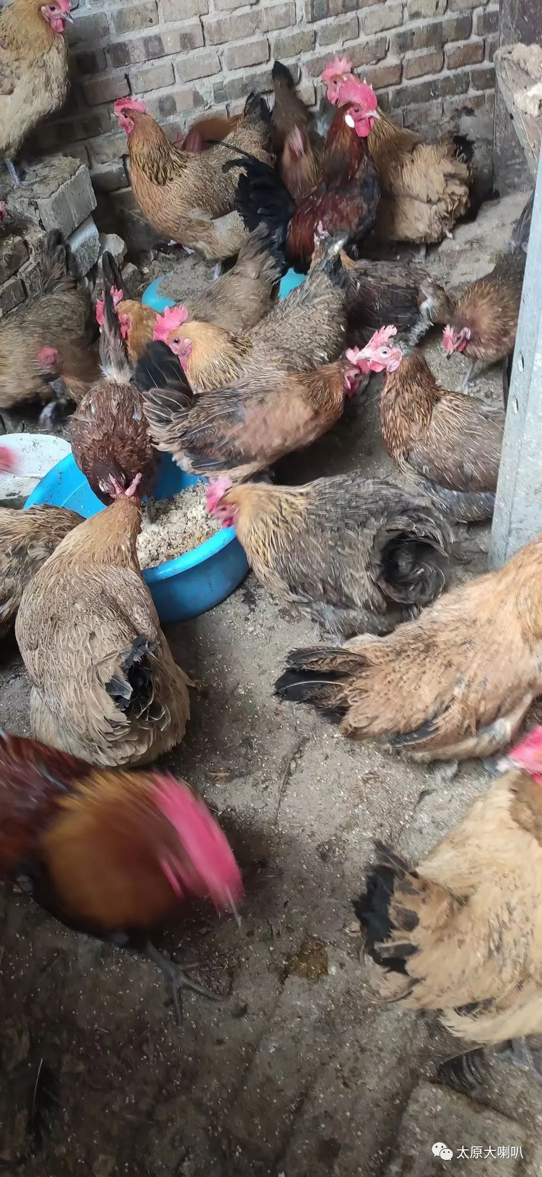 2015年4月22日太原大喇叭招聘租房售房二手闲置(图19)