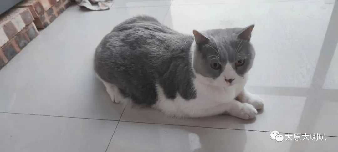 2015年4月22日太原大喇叭招聘租房售房二手闲置(图32)