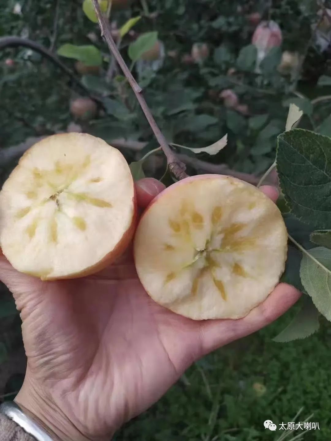 2015年4月22日太原大喇叭招聘租房售房二手闲置(图5)