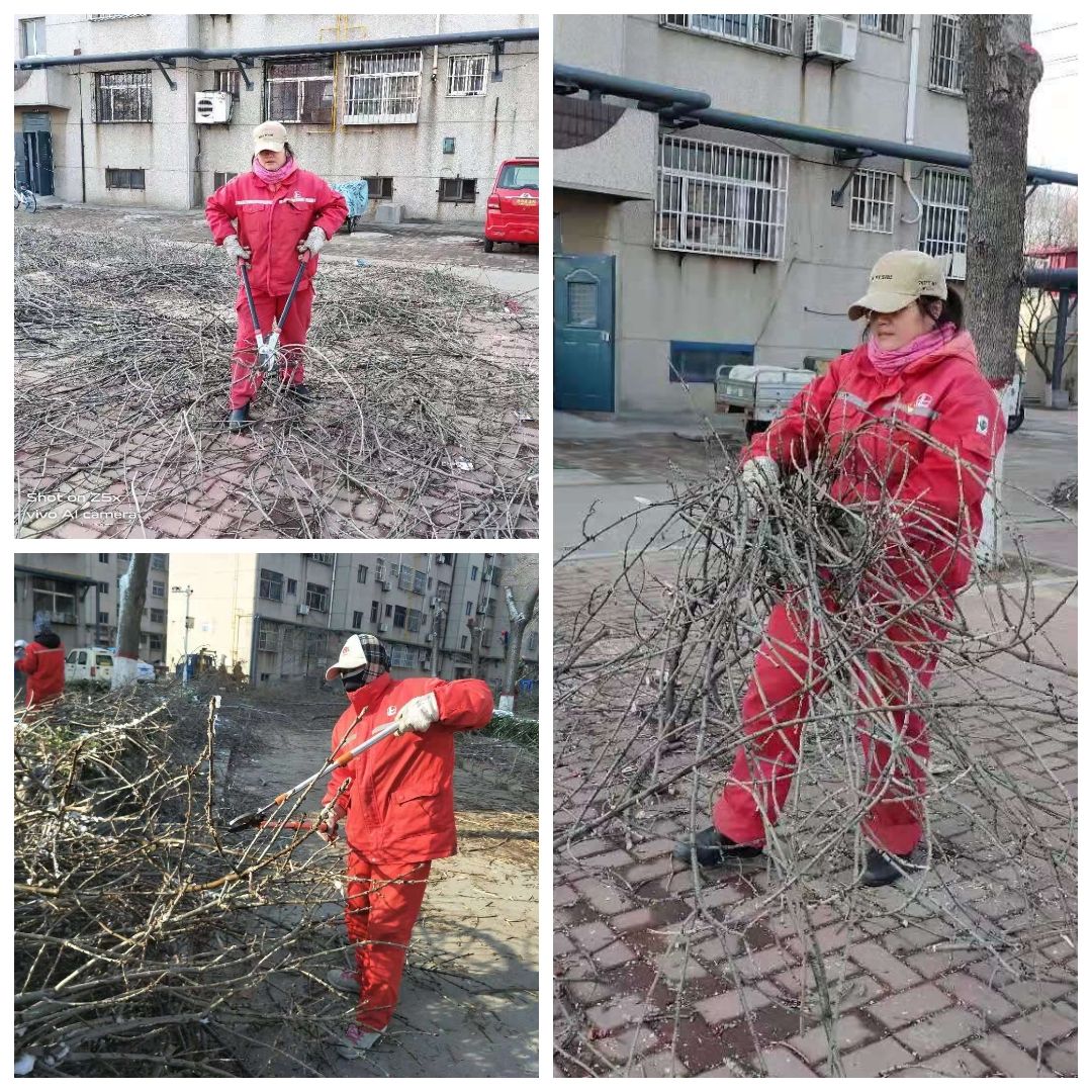 什么是彩钢房 大风大雨致不小市民周先生小时左右风雨变模样(图3)