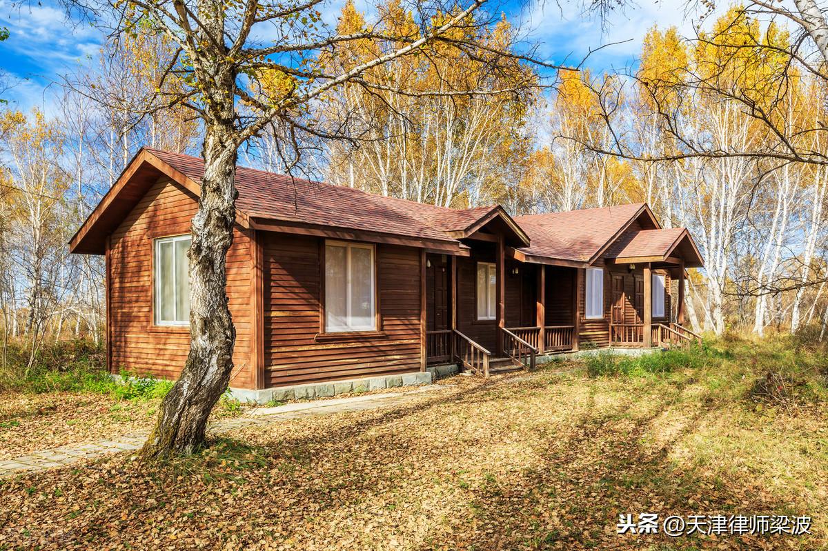 被告认定原告私搭彩钢房钢房存在拆除意图并实施了拆除(图8)