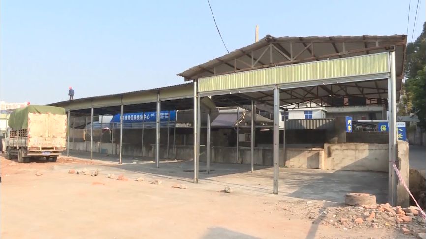 西昌市违建彩钢棚应声倒塌共拆除彩钢棚1000余平方米(图4)