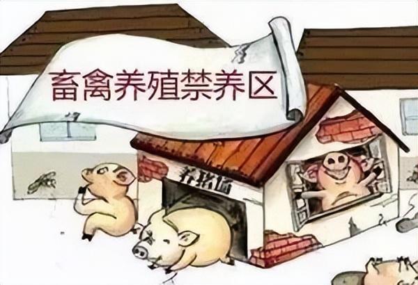 宜川县人民政府强制拆除行为违法行为法院判决(图1)