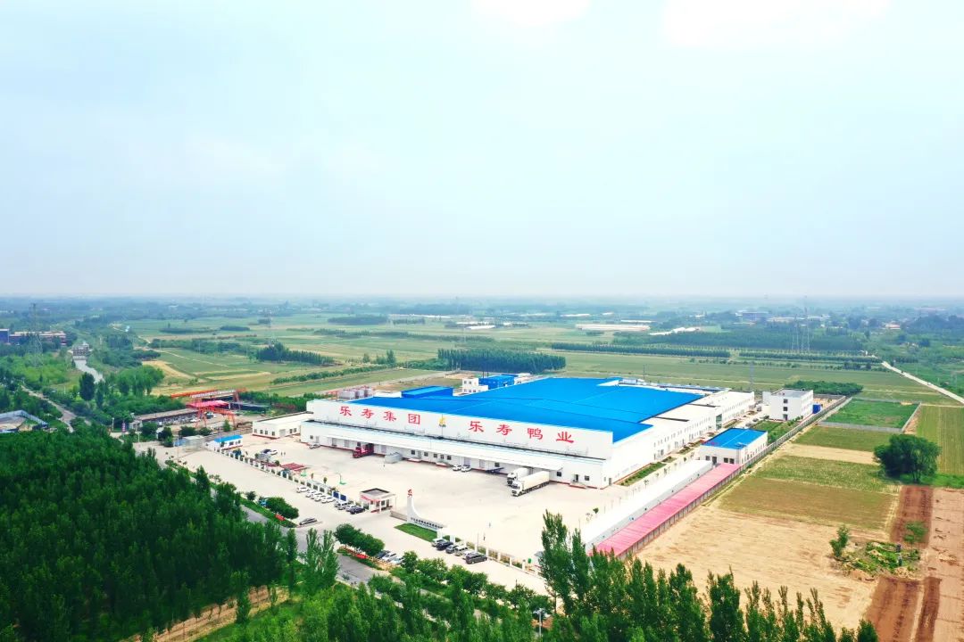 河北乐寿鸭业郭庄分公司宿舍彩钢房建设招标公告(图1)